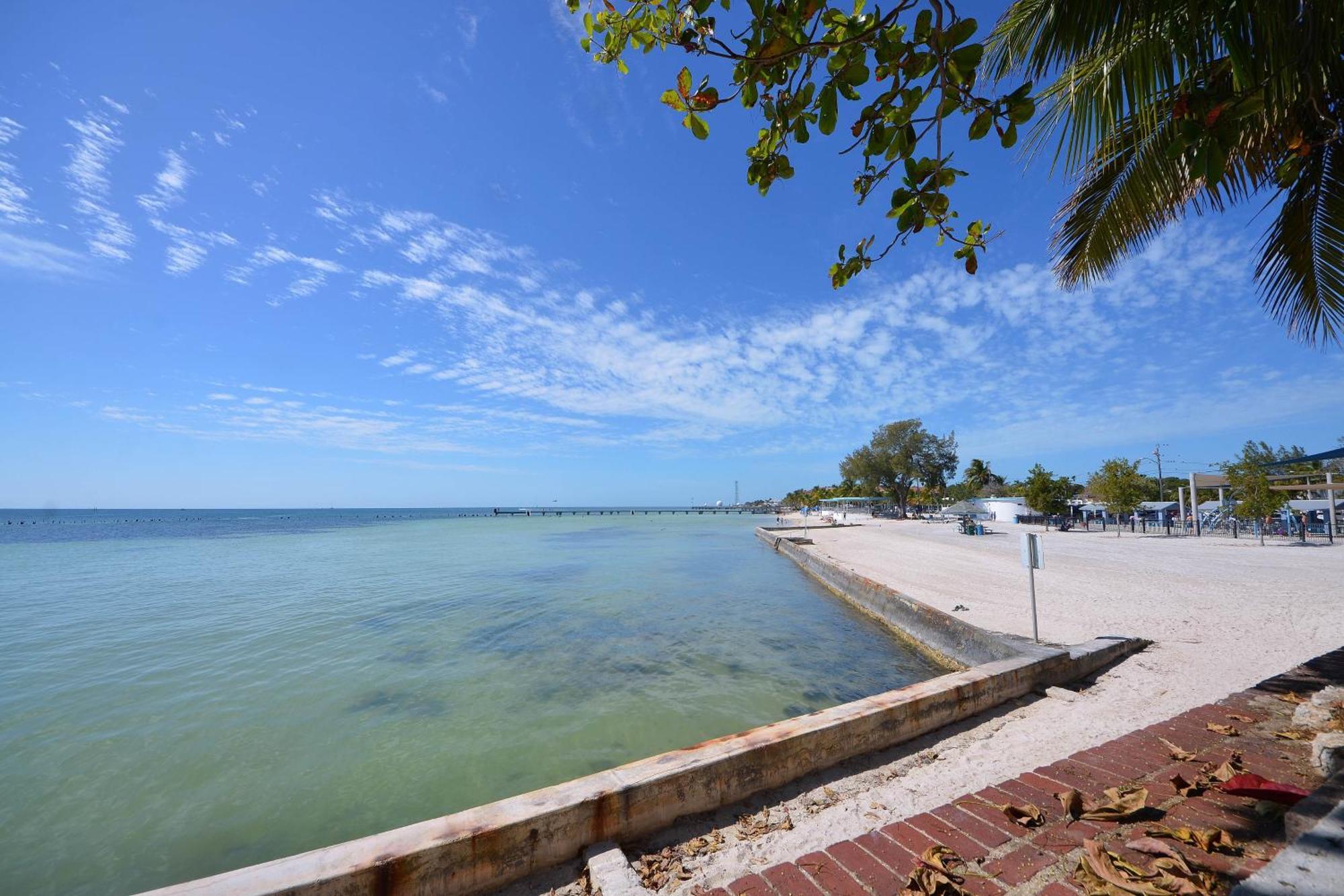 Pescado Penthouse On Duval Villa Key West Oda fotoğraf