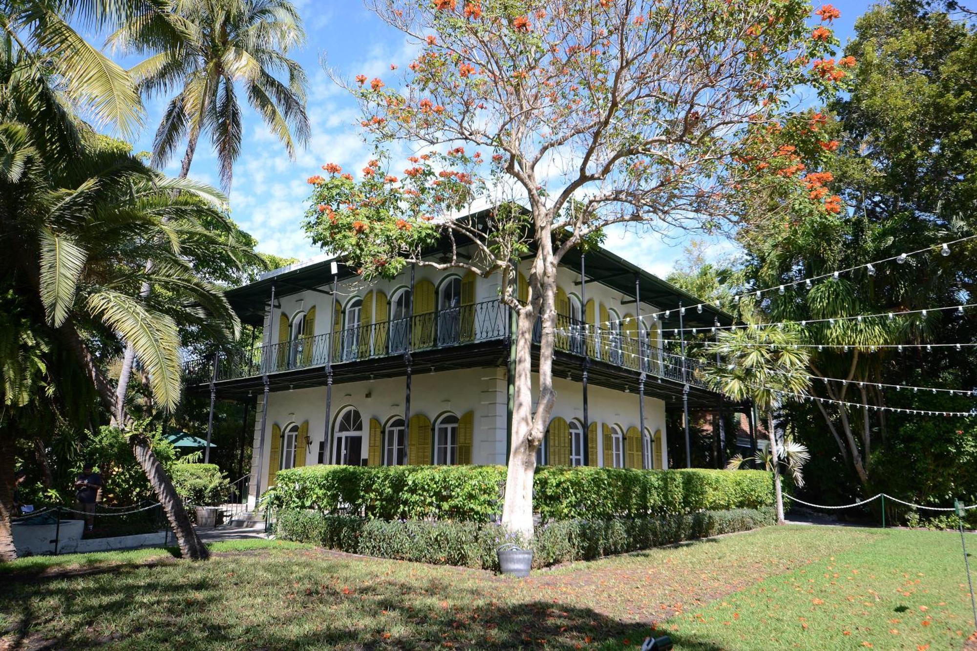 Pescado Penthouse On Duval Villa Key West Oda fotoğraf